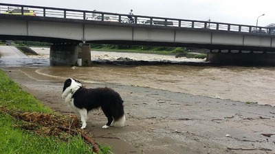 7-150718恐怖の賀茂川