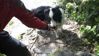 11-140504宝ヶ池山間園路