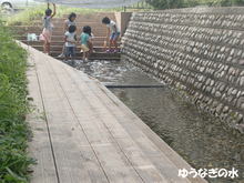 ゆうなぎの水