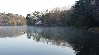 1-140407宝ヶ池ウォーク