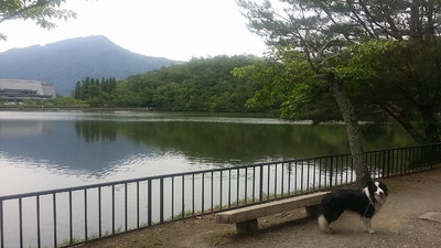 10-相棒ゴンタくんと宝ヶ池山間園路