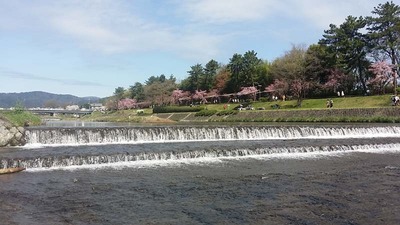2-ゴンタくんとお花見ウォーク