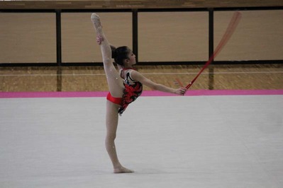 4-¿·ÂÎÁàShoinCup