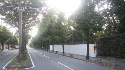 3-植物園の窓