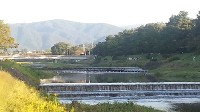1-賀茂川ウォーク、秋のけわい
