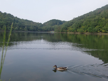 宝ヶ池 夏の終わり秋の気配