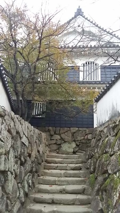 3-151123岡山城