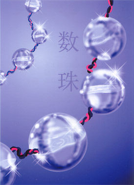 数珠