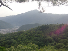 宝ヶ池山間園路から比叡山