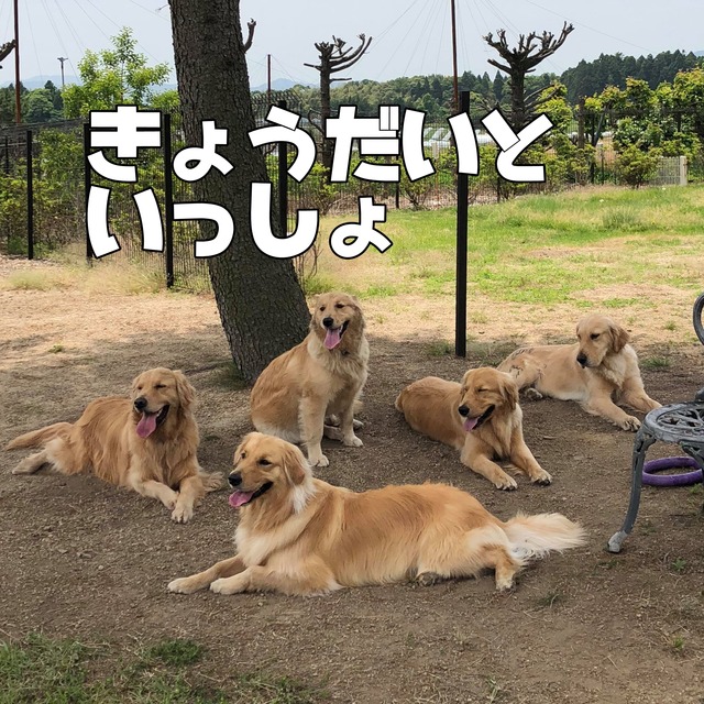 35102509_616340375400778_921384898625798144_n