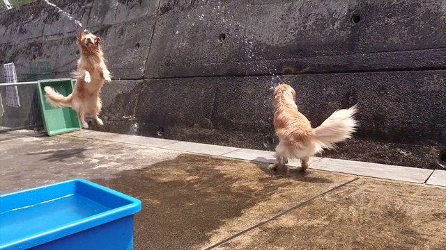 MOV_027400h00m16s56_R
