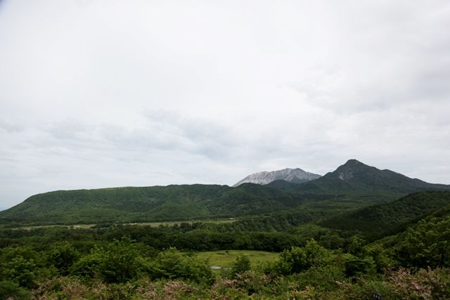 IMG_8315