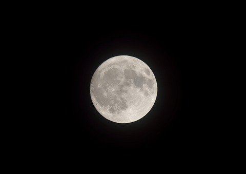 DSC_0358