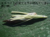 BlogPaint
