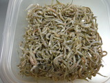 コウナゴ釜茹で
