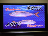 DSCF5783