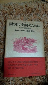 ために雨の日の釣師の
