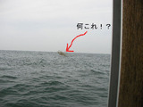BlogPaint