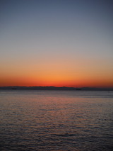 DSCF8248