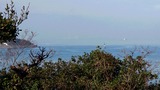1空中浮遊船