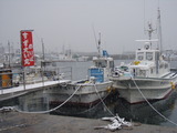 雪景色の師崎港