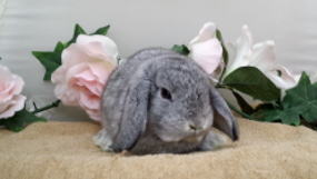 20160626_14435325411 (1)