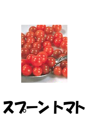 85912412