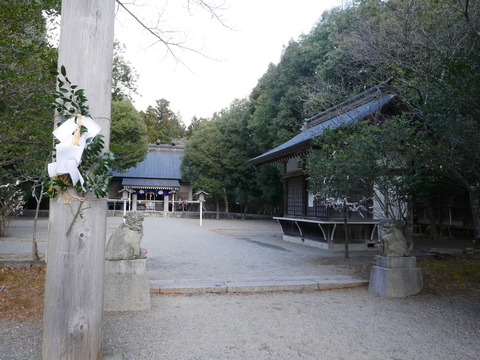 P1020794