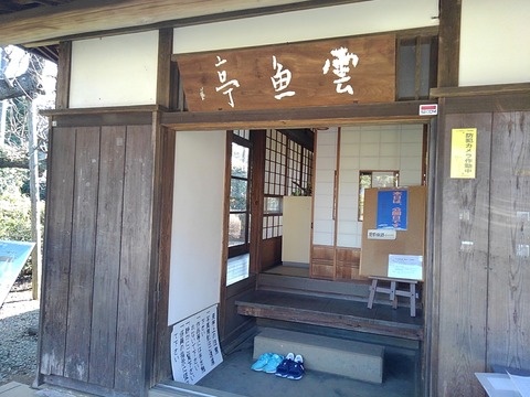 KIMG6253