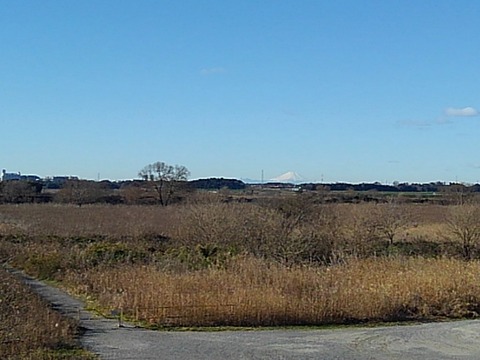 KIMG5338