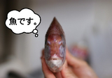 BlogPaint