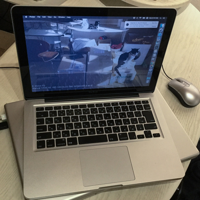Apple - Apple MacBook アルミ Late2008 4GB 250GB 動作品 Apple MacBook アルミ Late2008 4GB 250GB 動作品
