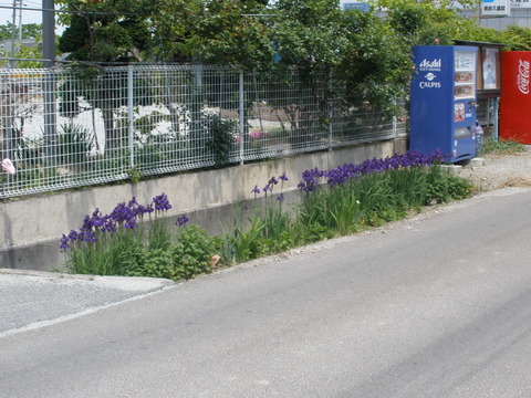 P5140089