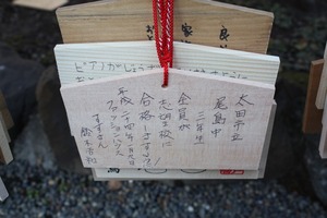 IMG_0056s