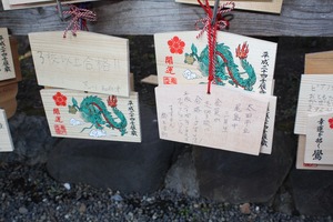 IMG_0062s