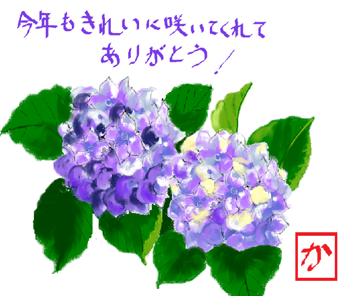 絵手紙風 紫陽花 たそがれ雀の落書き帳