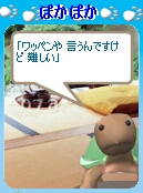 ぽかぽかさん