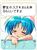 ココロさん