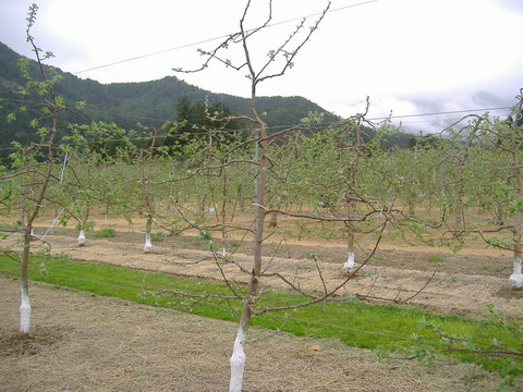 5月2日安曇野