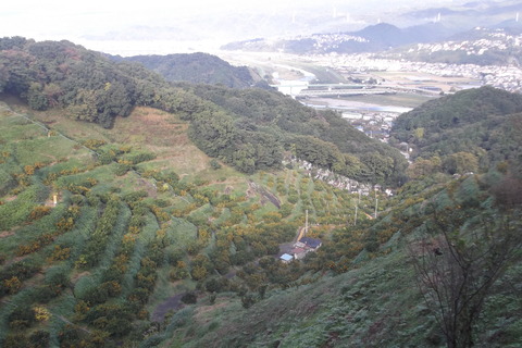 11月共同園全景