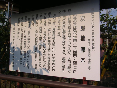 次郎柿の由来看板