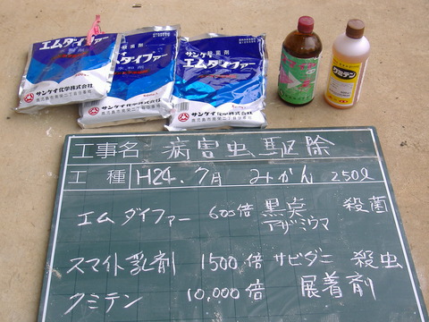 みかん消毒(若木)