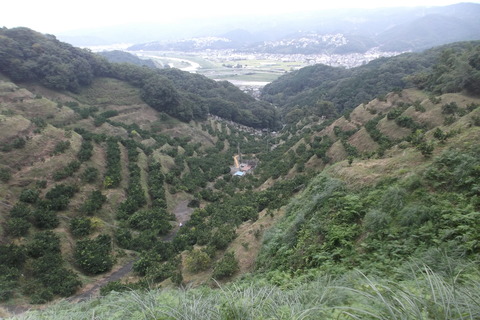 開園準備