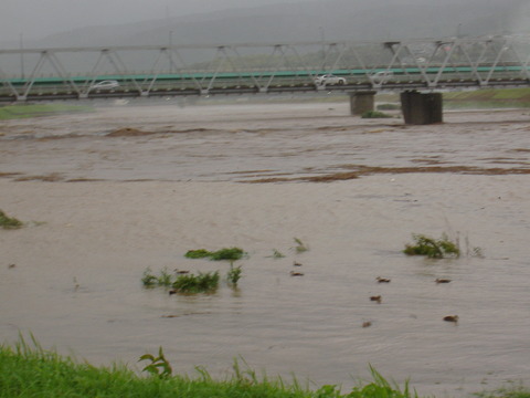 9,21台風狩野川大門橋