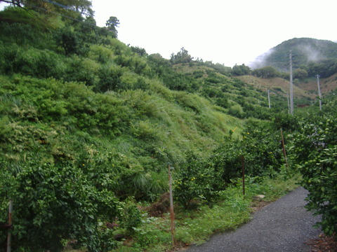 着手前
