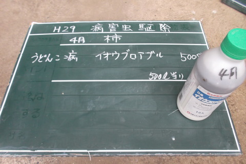 4月柿消毒液