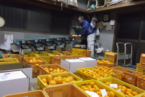 12月夜間作業1
