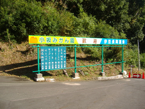 No,2