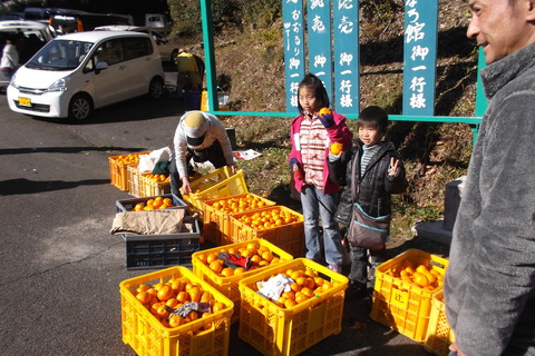 12-29 コンテナ取