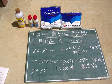 7月16日みかん消毒